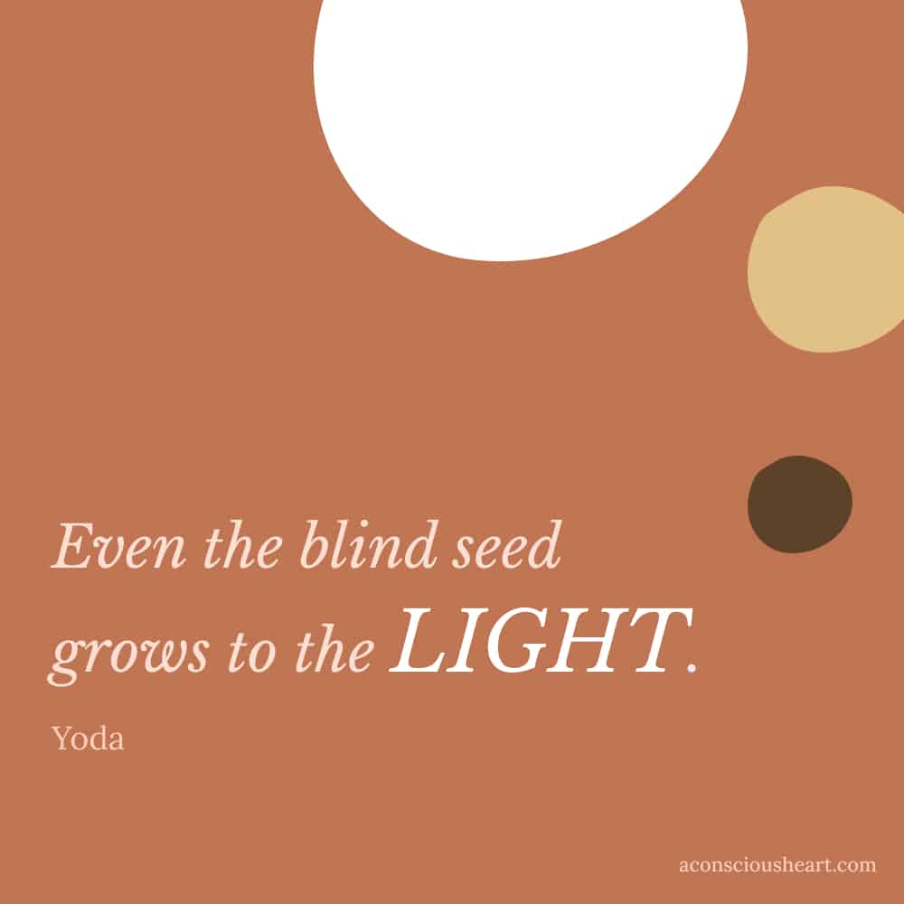 Image with Yoda quote - "Even the blind seed grows to the light."