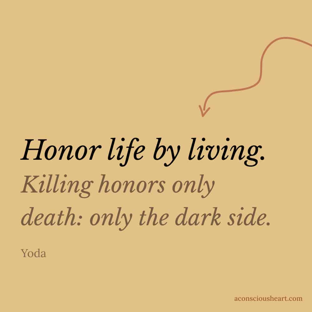 Image with Yoda quote - "Honor life by living. Killing honors only death: only the dark side."