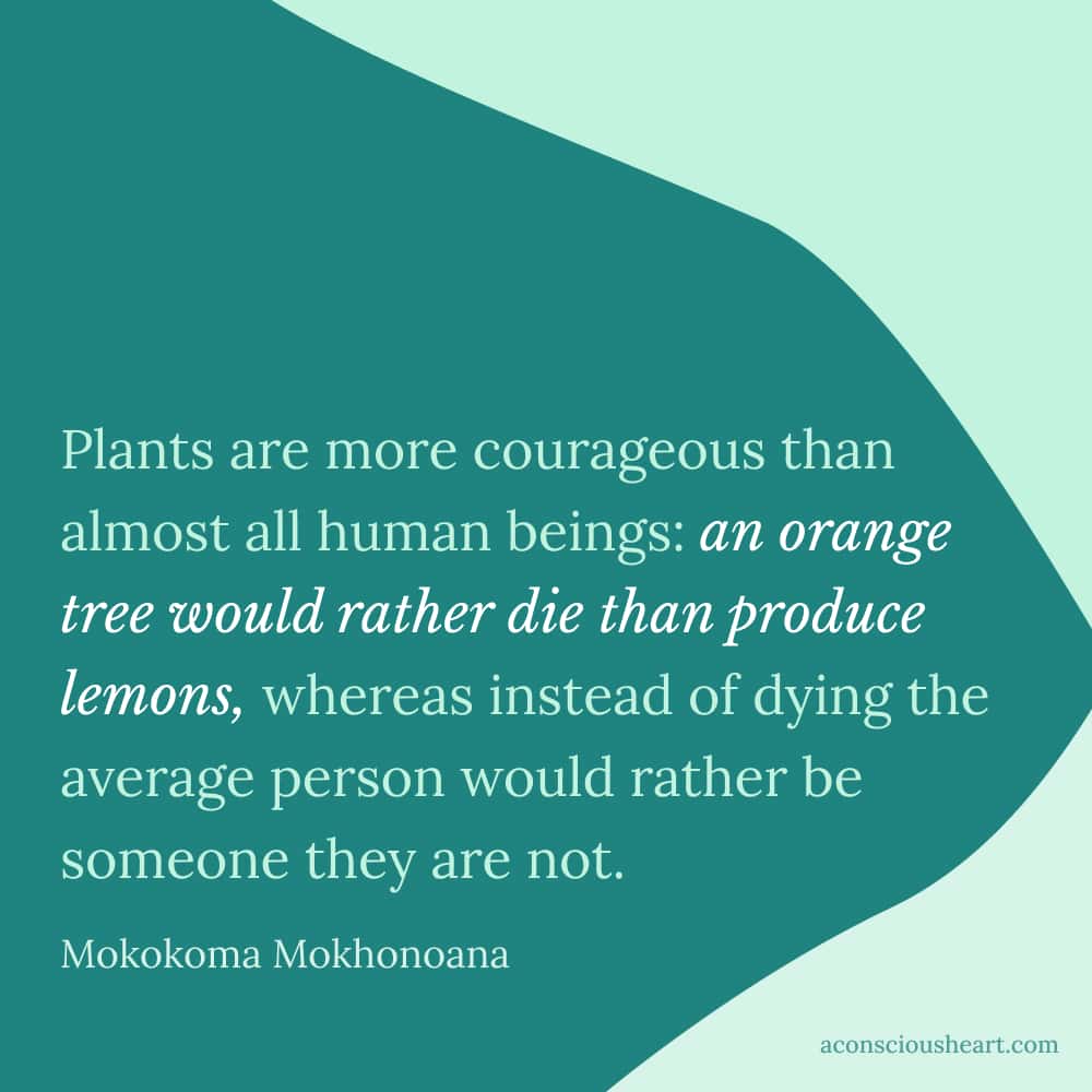 Image with plant quote by Mokokoma Mokhonoana