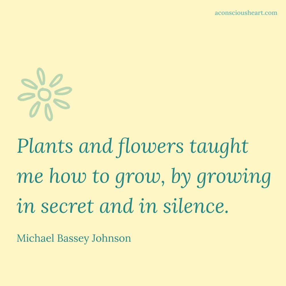 Image with plant quote by Michael Bassey Johnson