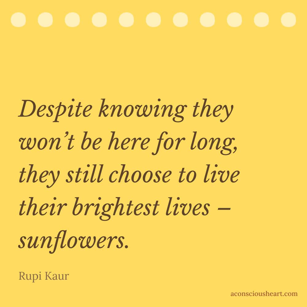 Image with sunflower quotes by Rumi Kaur