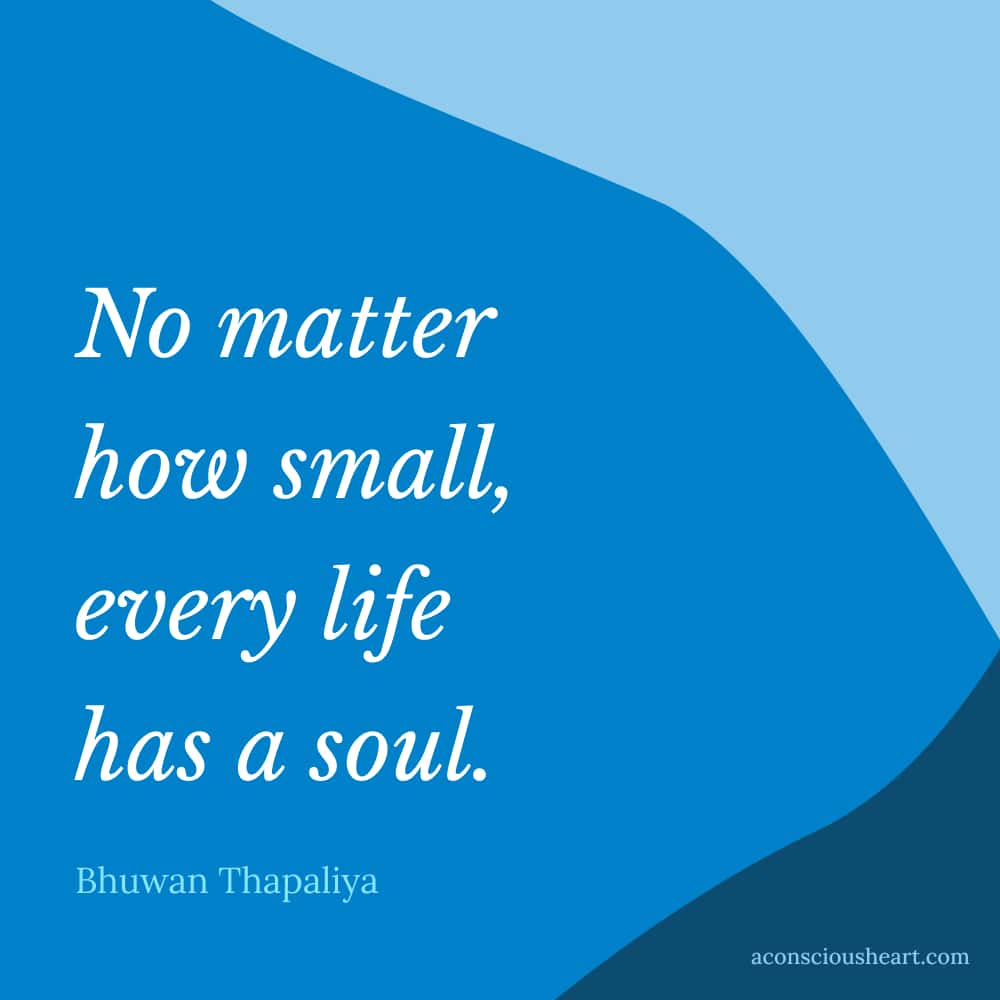 Image with Little Things Matter quotes by Bhutan Thapaliya